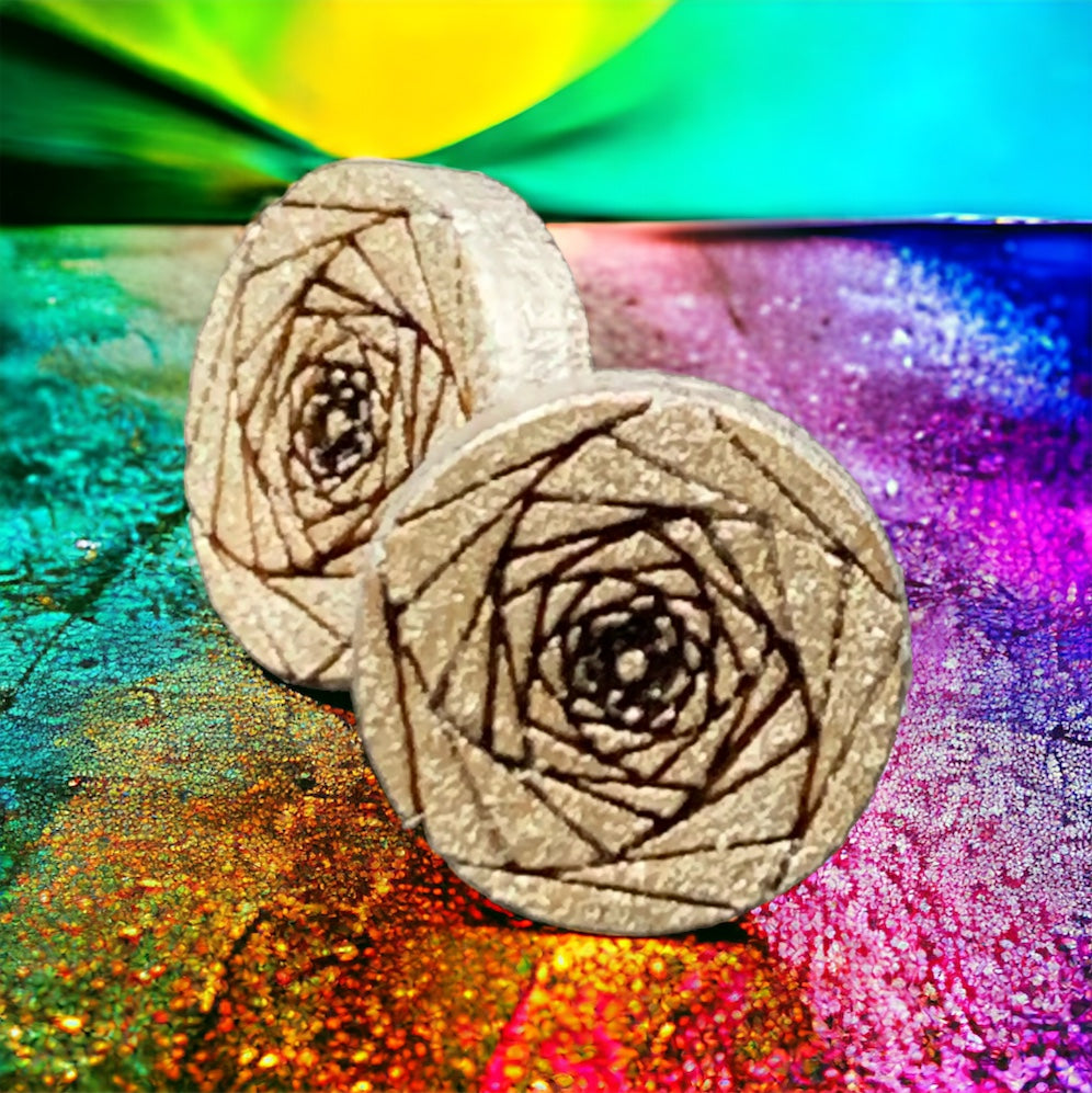 Infinite Spiral Geometric Stud Earrings, Faux Gauges/Plugs